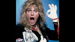 METAL SHOP Quiet Riot, David Lee Roth, W A S P,,  Riot and More!