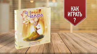 ЧАКРА: как играть в настольную игру + обзор дополнения Инь и Ян