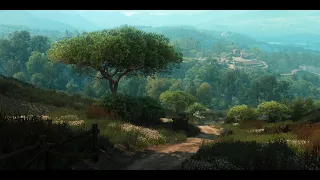 The Witcher 3: Wild Hunt OST (Unreleased Tracks) - Outskirts of Novigrad - Long Version