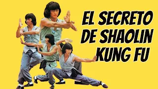 Wu Tang Collection - El Secreto de Shaolin Kung Fu (Secret of Shaolin Kung Fu)