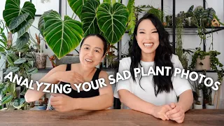 Analyzing your 🫵🏻 sad plant photos! w/ @unplantparenthood