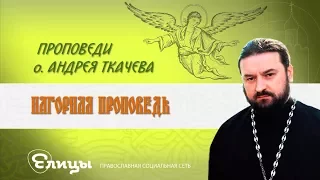 о. Андрей Ткачев. Нагорная проповедь. Проповедь 17.06.17