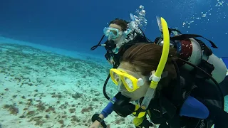 Family Scuba Diving in Cozumel