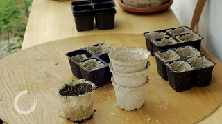 DIY recycled paper seedling pots