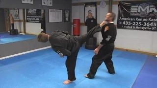 Kenpo Karate Techniques AKKI