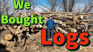 Buying Firewood Logs