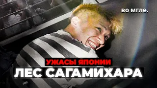 Ужасы Японии: Инцидент в Сагамихаре