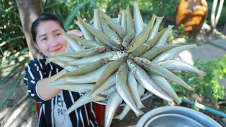 Tasty Fishball Boiling Soup Cooking - Cooking With Sros