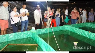 Quality catfish seed to awaken commercial aquaculture in Uganda