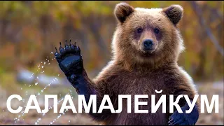 ПРИКОЛЫ 2019 ЛУЧШИЕ ДО СЛЕЗ / 616 СЕКУНД СМЕХА #2 BEST FAILS OF THE MONTH DECEMBER 2019