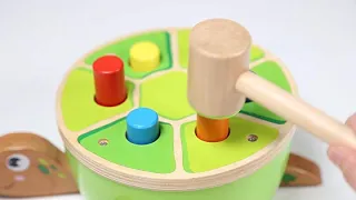 TOP BRIGHT Gifts for 2 Year Old Girl Boy Baby & Toddler Toys - Montessori Toys for Toddlers