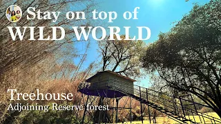 Thrilling Treehouse stay in Tiger reserve | Secret Ivory Resort Masinagudi mudumalai tiger reserve