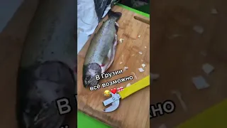 Когда муж грузин 🇬🇪☺️мангал на балконе/барбекю рыба в фольге#грузия #батуми #shorts