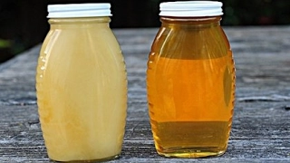 Как растопить засахаренный мед в домашних условиях? мед для канди