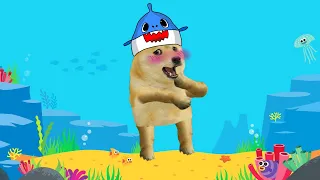 Baby Dog (Bongo Dog cover Baby Shark) 🐶