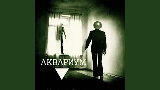 Корнелий Шнапс