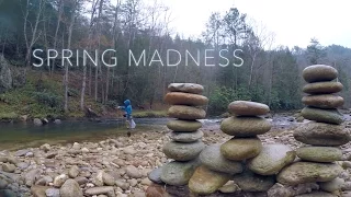 SPRING MADNESS - Fly Fishing North Carolina