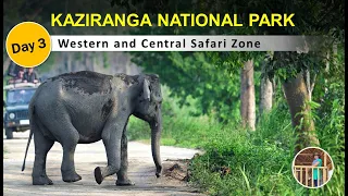 KAZIRANGA NATIONAL PARK || How To Plan A Trip To Kaziranga || Kaziranga Trip Full Guide || Day 3