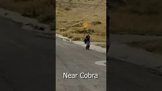 KingCobraJFS - Goldfinger on Street View