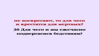 Видеобиблия. 1-е Послание Коринфянам. Глава 15