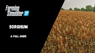 FS22 - Sorghum, A Full Guide - Farming Simulator 22