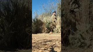 Kid nails a quail with the Tim Wells blowgun!