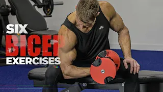 Six Bicep Exercises | SECRETS REVEALED FOR BEST FOR SHAPE & CONDITIONING - Rob Riches, Fitness Model