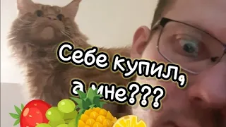 Мейн-кун снова жалуется!#shorts #google #cat