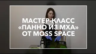 Мастер-класс по изготовлению Панно из стабилизированного Мха