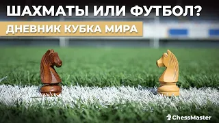 Шахматы или футбол? Дневник кубка мира, день 2-3