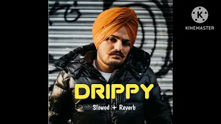 DRIPPY BY SIDDHU MOSSEWALA lofi song #trending #lofi #song #song