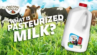 What is Pasteurized milk? | Ask Organic Valley