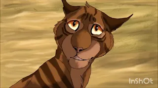 warrior cats animash - cheap thrills