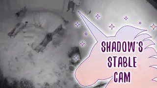 Horse Stable Camera | Shadow The Unicorn