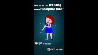 Why do we feel itching due to a mosquito bite?