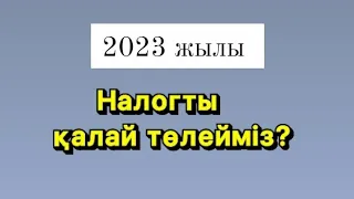 2023 жылы Ип-ның налогын қалай төлейміз/Как оплатить налог ИП?