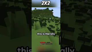 Minecraft, But Pixels Get Added Every Time..