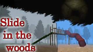 I found a slide in the woods : Slide in the Woods