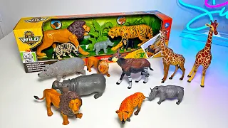 Wild Animals, African Animals Set - Lion, Tiger, Elephant, Chimpanzee, Hyena, Rhinoceros, Hippo