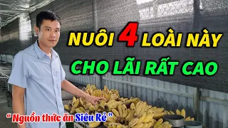 4 Loài Vật Nuôi Mới Có Giá Trị Kinh Tế Cao Nhất Hiện Nay | Chăn Nuôi Làm Giàu 2023