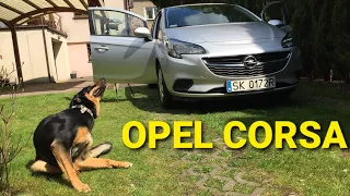 Opel Corsa E, Mały miejski samochód? Czy naprawdę warto go kupić? Prezentacja/test/jazda. 1440p.