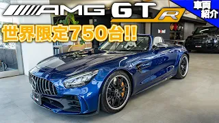 【日本に23台しか存在しない激レア車!!】AMG GT R Roadster【bond cars Omiya】