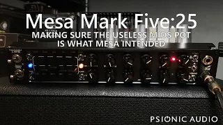 Mesa Mark FIve:25 | Making Sure The Useless Mids Pot Is What Mesa Intended