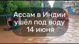 Ассам ушёл под воду в Индии