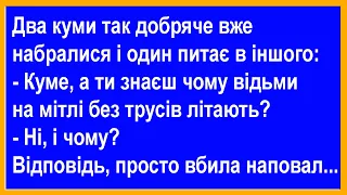 Чому відьми на мітлі без трусів літають?... Анекдоти від Петровича.