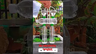 Make a Fountain Without Electricity Using Plastic Bottles At Home - DEMO | #shorts