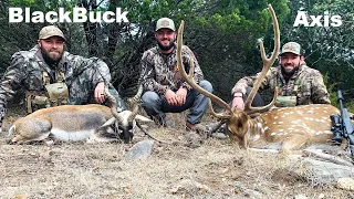 Hunting Blackbuck And Axis On Our Ranch {Catch Clean Cook}