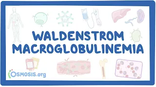 NORD - Waldenstrom Macroglobulinemia