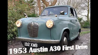 1953 Austin A30 first drive in at least a decade!