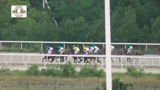 26.07.2020 - Большой Спринтерский приз - Экспресс Донбасс